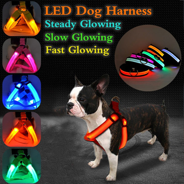 HaverShop™ Nylon LED Harness For Pet Safety - Haver Shop