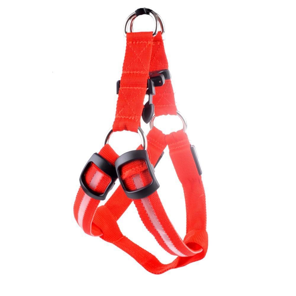 HaverShop™ Nylon LED Harness For Pet Safety - Haver Shop